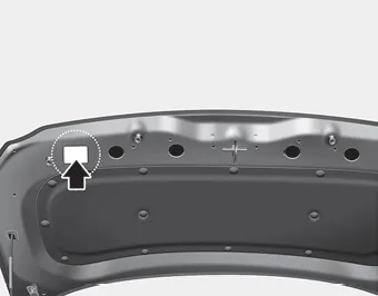 Hyundai Ioniq. Refrigerant Label